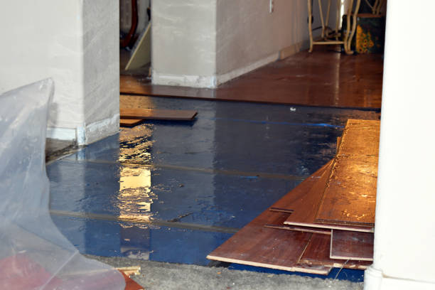 Professional Burst Pipe Cleanup technician working in Scotts, MI